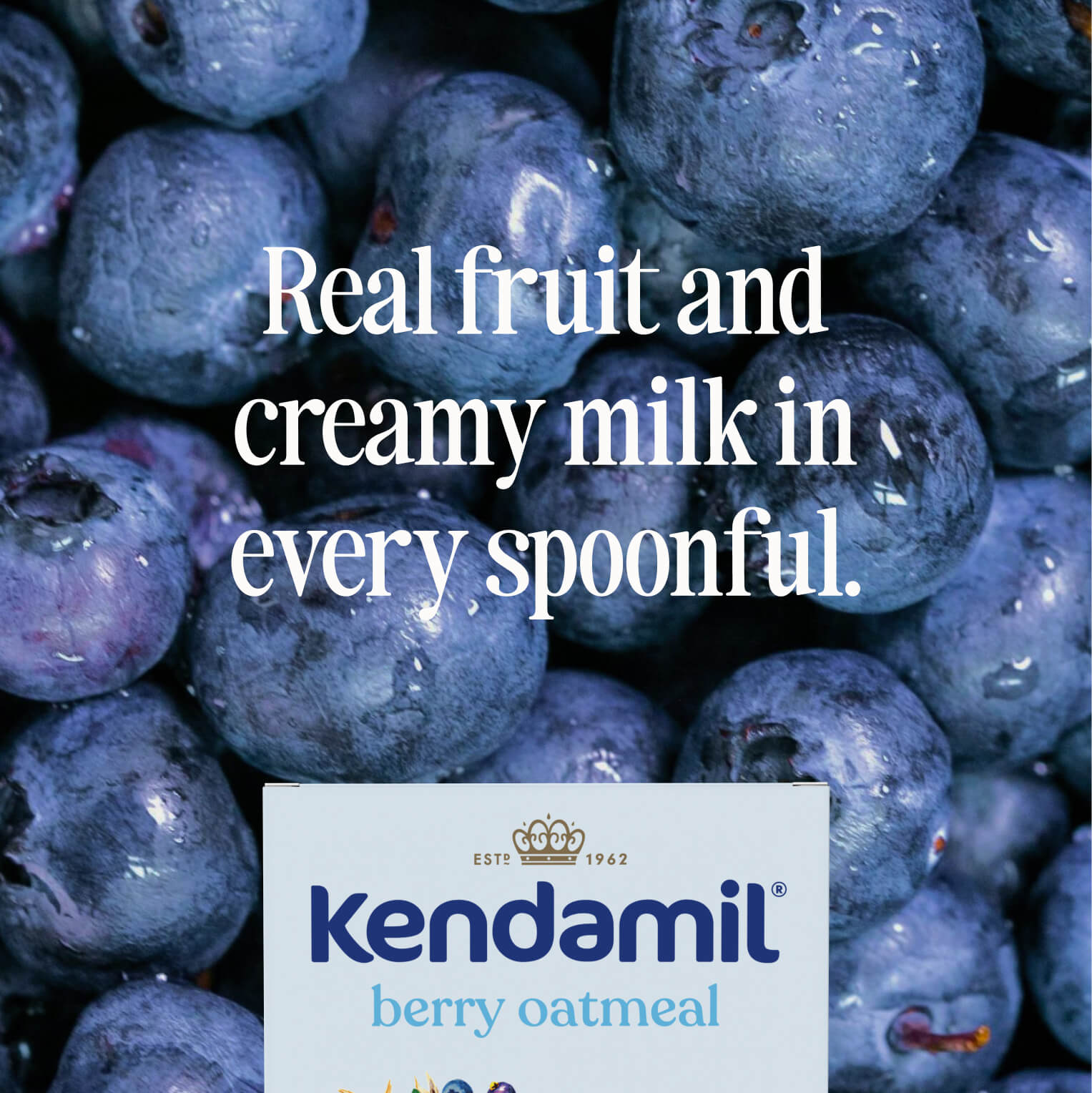 Mixed Berry Oatmeal