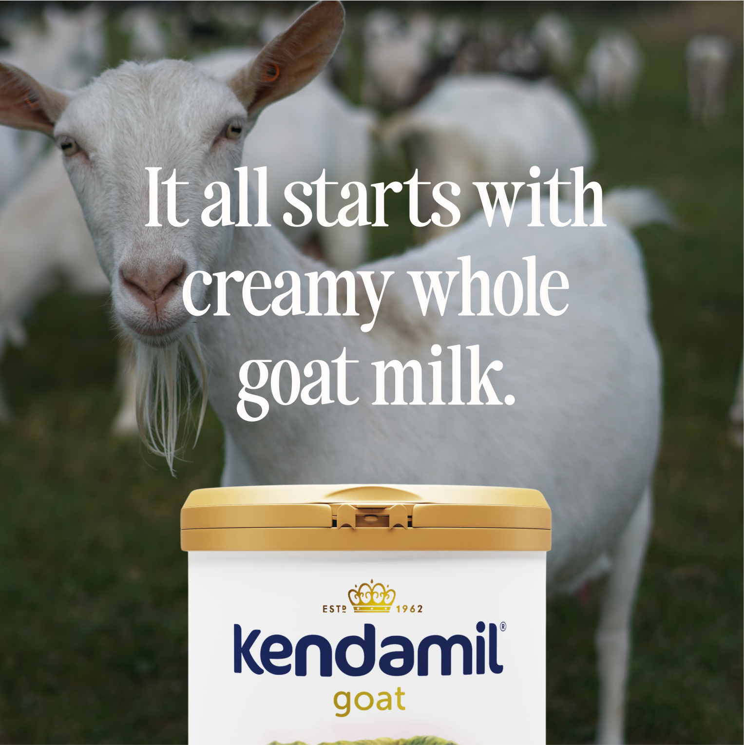 Goat Infant Formula 28.2oz (0-12 months)