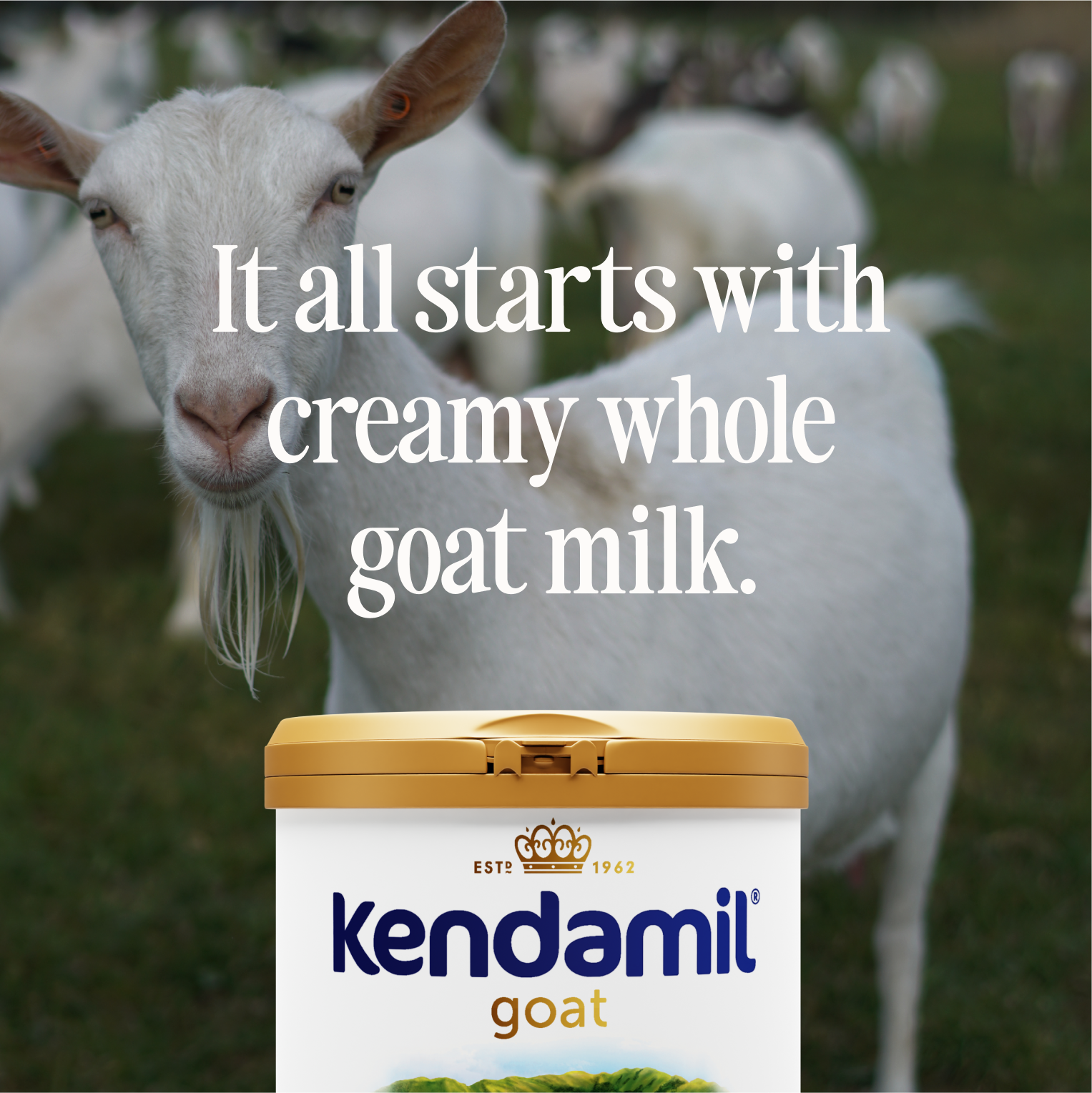 Goat Toddler Formula 28.2oz (12 - 36 months)